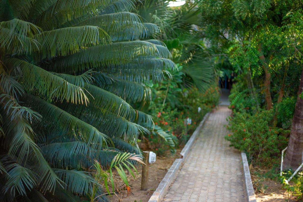 Pousada Vivenda Da Terra São Miguel do Gostoso Extérieur photo